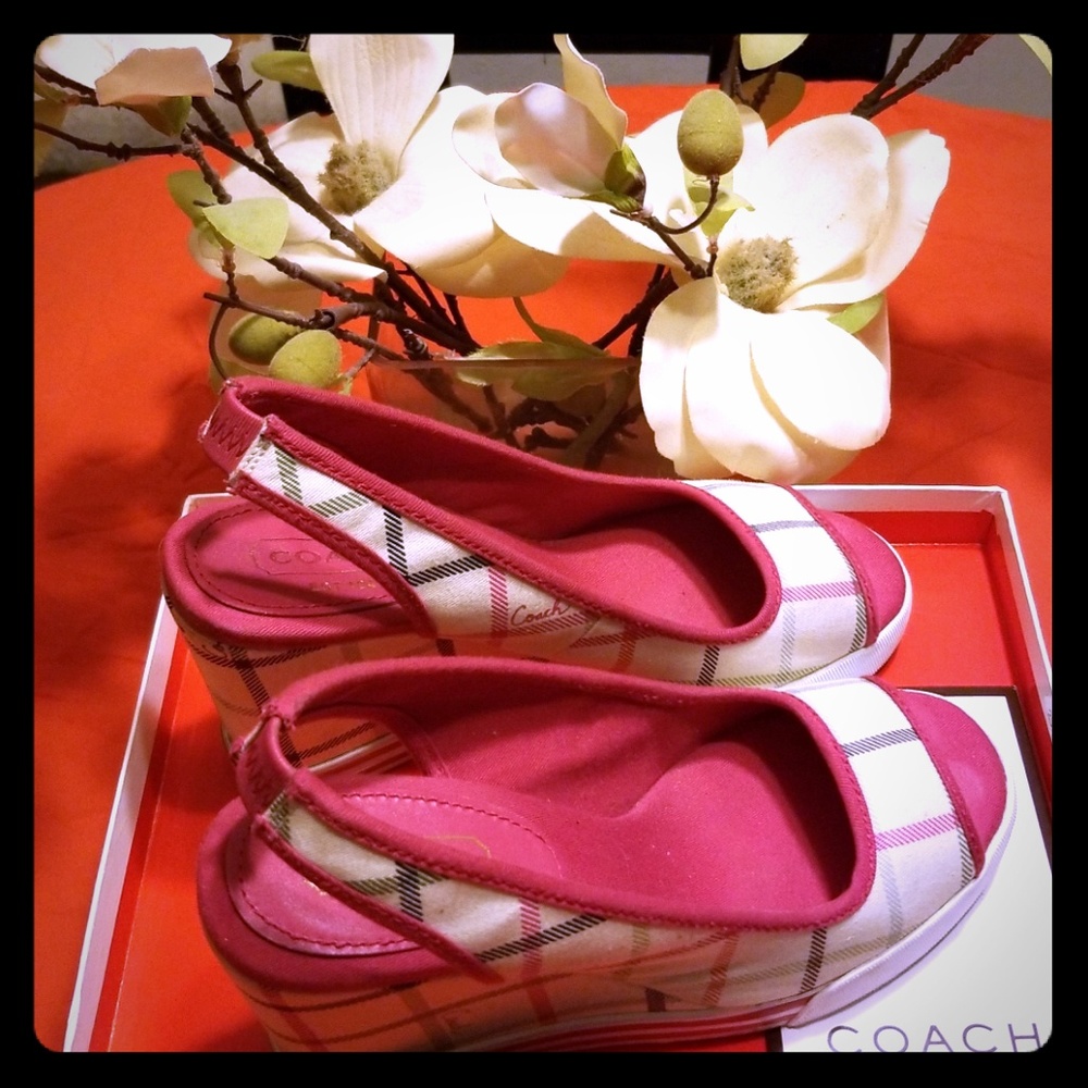 Muliti-color sneaker wedge like